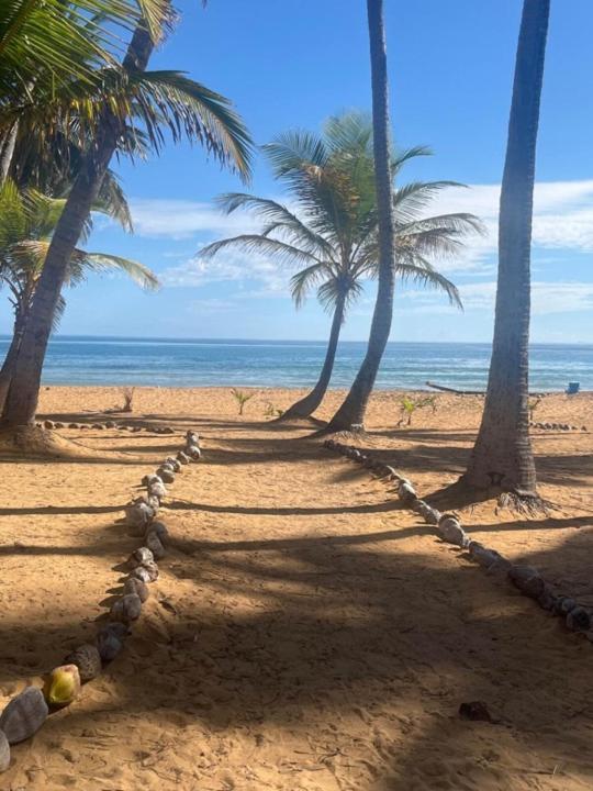 Oceanview Apartment Steps To The Beach Luquillo Exterior foto